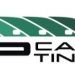 cropped-VIP-Tint-logo-12.jpg
